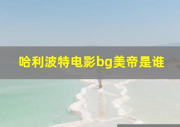 哈利波特电影bg美帝是谁