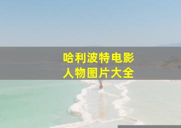 哈利波特电影人物图片大全