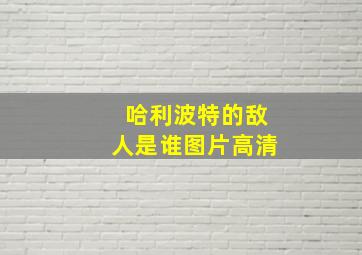 哈利波特的敌人是谁图片高清