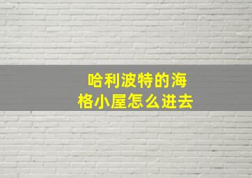 哈利波特的海格小屋怎么进去