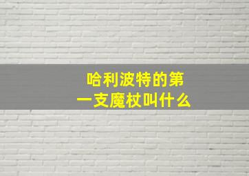 哈利波特的第一支魔杖叫什么