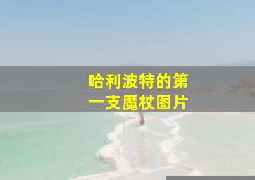 哈利波特的第一支魔杖图片