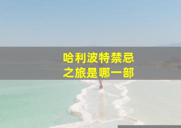 哈利波特禁忌之旅是哪一部