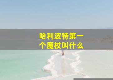 哈利波特第一个魔杖叫什么