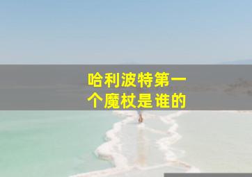 哈利波特第一个魔杖是谁的