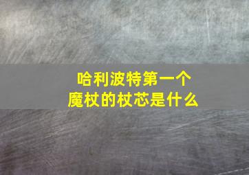 哈利波特第一个魔杖的杖芯是什么