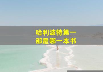 哈利波特第一部是哪一本书