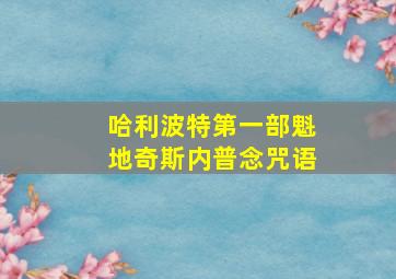 哈利波特第一部魁地奇斯内普念咒语