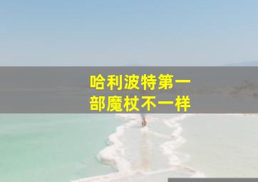 哈利波特第一部魔杖不一样