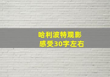 哈利波特观影感受30字左右