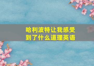 哈利波特让我感受到了什么道理英语