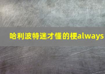 哈利波特迷才懂的梗always