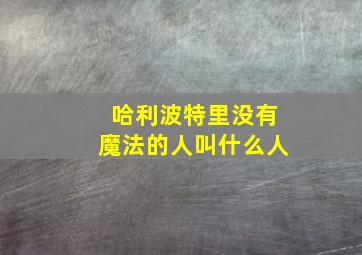 哈利波特里没有魔法的人叫什么人