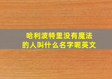 哈利波特里没有魔法的人叫什么名字呢英文