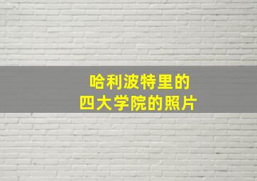 哈利波特里的四大学院的照片