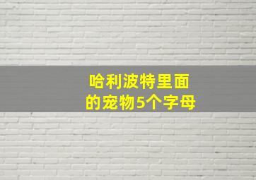 哈利波特里面的宠物5个字母