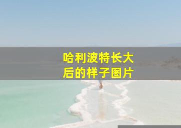 哈利波特长大后的样子图片