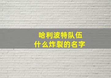 哈利波特队伍什么炸裂的名字