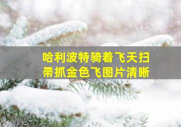 哈利波特骑着飞天扫帚抓金色飞图片清晰