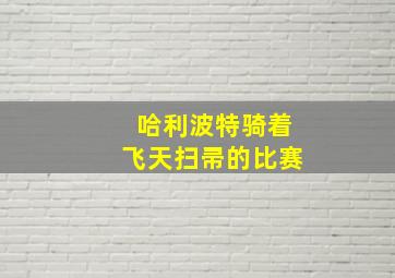 哈利波特骑着飞天扫帚的比赛