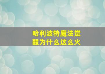 哈利波特魔法觉醒为什么这么火