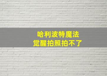 哈利波特魔法觉醒拍照拍不了