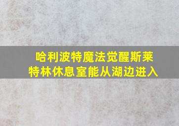 哈利波特魔法觉醒斯莱特林休息室能从湖边进入