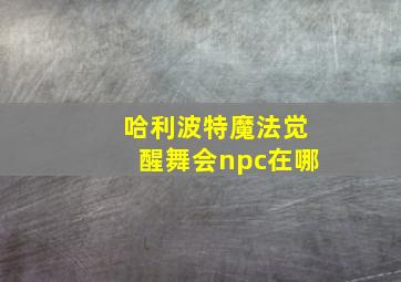 哈利波特魔法觉醒舞会npc在哪