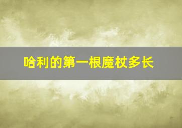 哈利的第一根魔杖多长