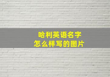 哈利英语名字怎么样写的图片