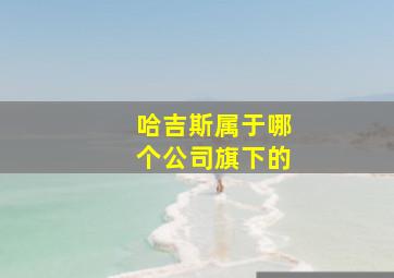 哈吉斯属于哪个公司旗下的