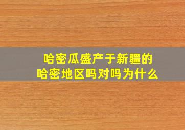 哈密瓜盛产于新疆的哈密地区吗对吗为什么