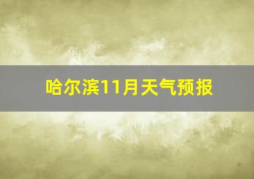 哈尔滨11月天气预报