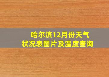 哈尔滨12月份天气状况表图片及温度查询