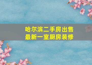 哈尔滨二手房出售最新一室厨房装修