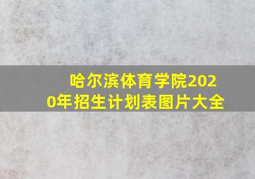 哈尔滨体育学院2020年招生计划表图片大全