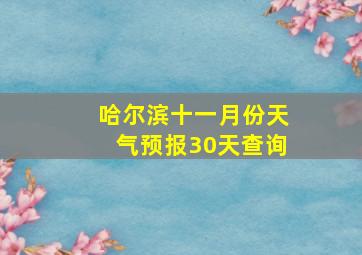 哈尔滨十一月份天气预报30天查询