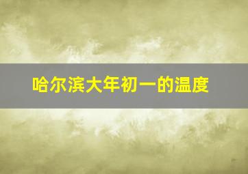 哈尔滨大年初一的温度