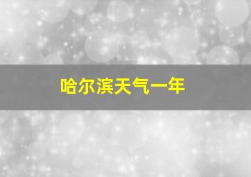 哈尔滨天气一年