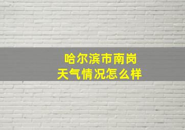 哈尔滨市南岗天气情况怎么样