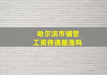 哈尔滨市辅警工资待遇能涨吗