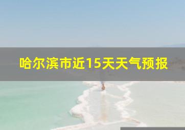 哈尔滨市近15天天气预报