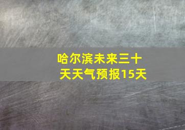 哈尔滨未来三十天天气预报15天