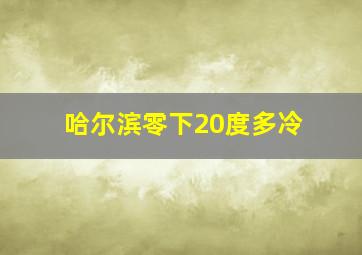 哈尔滨零下20度多冷