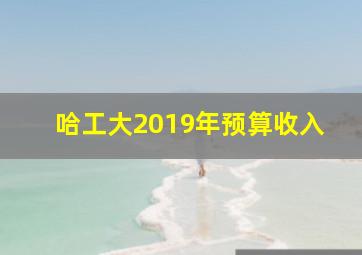 哈工大2019年预算收入