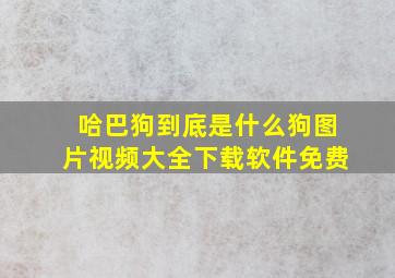 哈巴狗到底是什么狗图片视频大全下载软件免费