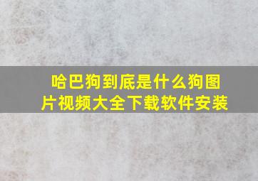 哈巴狗到底是什么狗图片视频大全下载软件安装