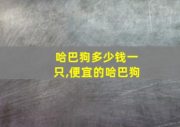 哈巴狗多少钱一只,便宜的哈巴狗