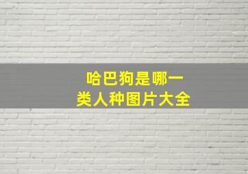 哈巴狗是哪一类人种图片大全