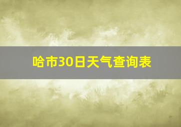 哈市30日天气查询表